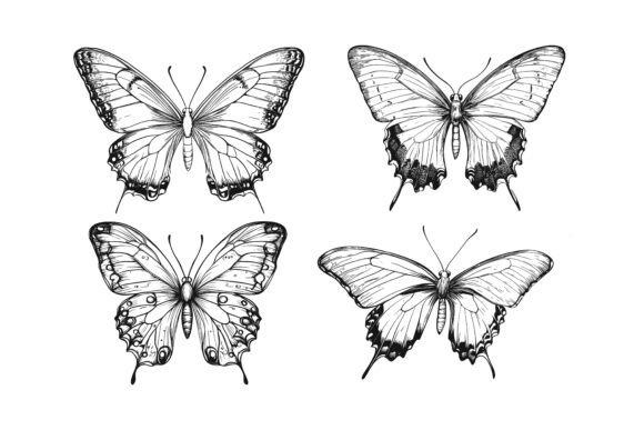 Hand Drawn Butterfly Vector Pack