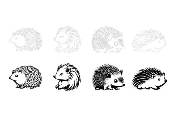 Hedgehogs – Wild Animals
