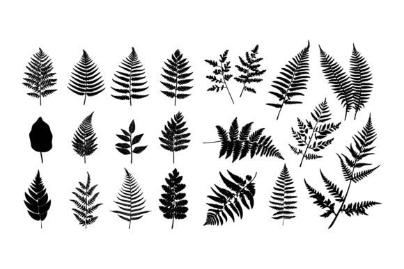 Hibiscus Aloha Branch Leaf Collection: Elevate Your Designs with Tropical Botanical Artwork