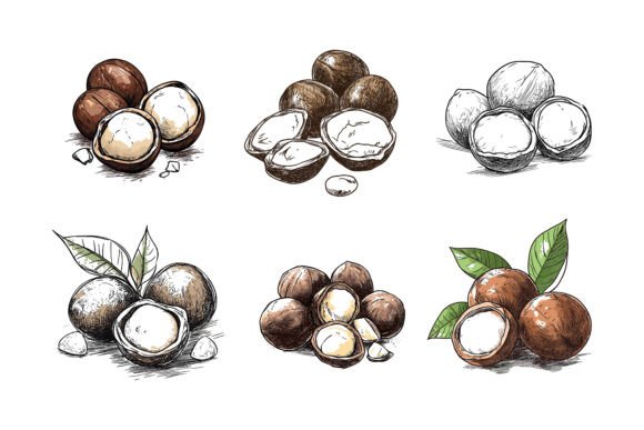How the Nut Set Collection Fits Into a Seamless Graphic Design Workflow